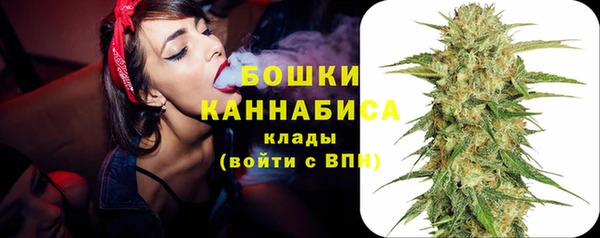 МДПВ Ельня
