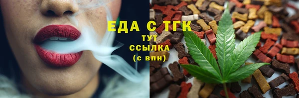 МДПВ Ельня