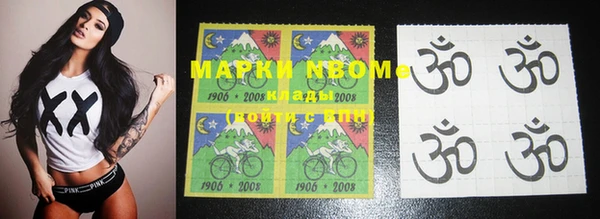 МДПВ Ельня