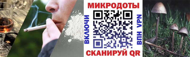 Галлюциногенные грибы Psilocybe Купить закладки Нюрба