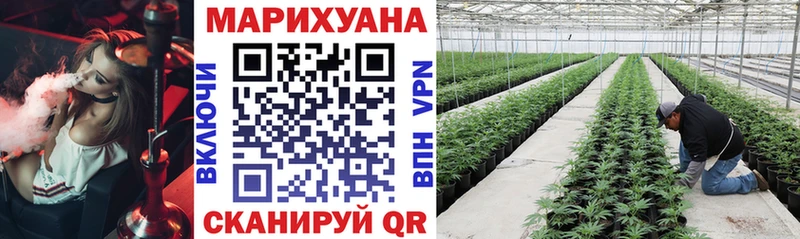 Каннабис конопля Купить где Нюрба